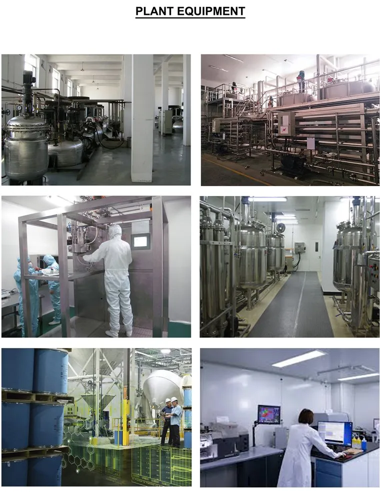 100% Miracle Fruit Miracle Berry Synsepalum Dulcificum Extract Miraculin Taste Change