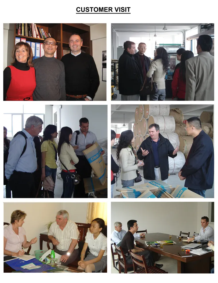 100% Miracle Fruit Miracle Berry Synsepalum Dulcificum Extract Miraculin Taste Change