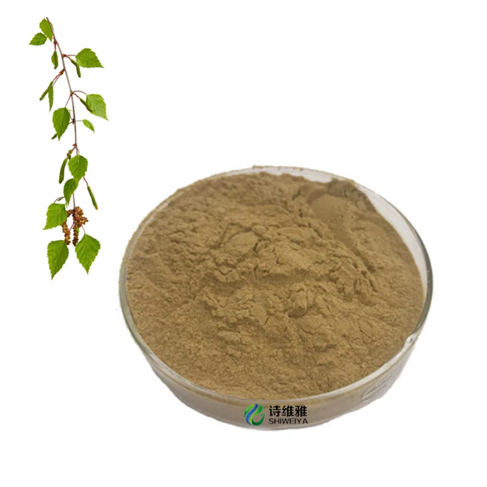 100% Natural Free Sample Betula Alba Birch Leaf Extract