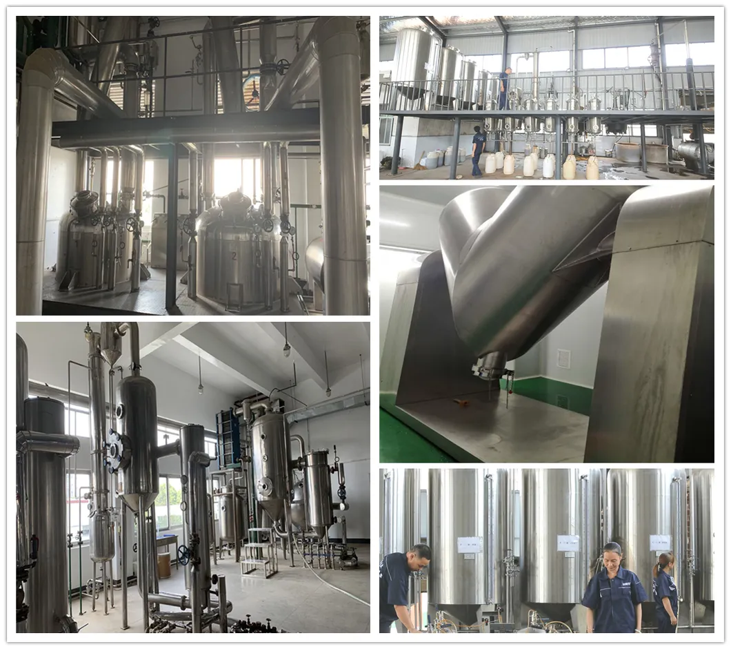 100% Natural Plant Extract Powder HPLC Soybean Isoflavone Red Clover Angelica Ecdysone Ecdysterone Dew Grass Extract