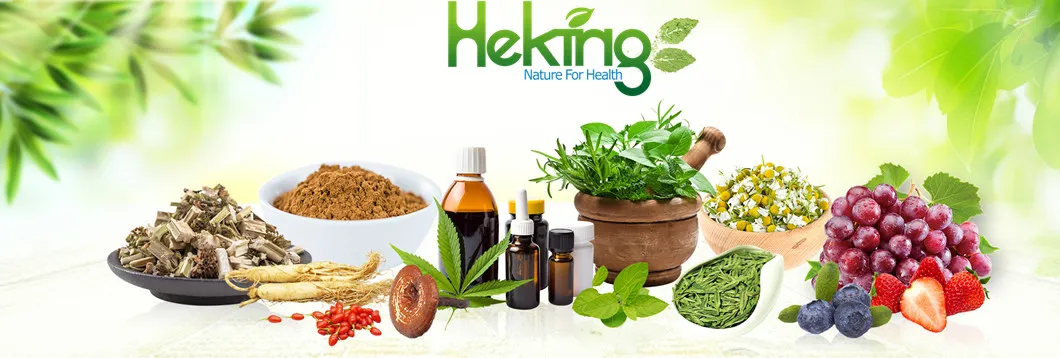 100% Natural Plant Extract Powder HPLC Soybean Isoflavone Red Clover Angelica Ecdysone Ecdysterone Dew Grass Extract