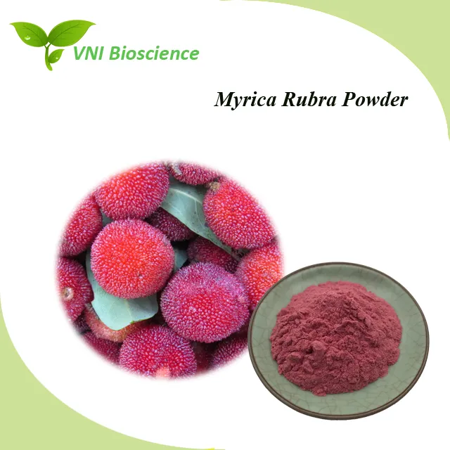 100% Natural Red Bayberry Powder Arbutus Powder Extract