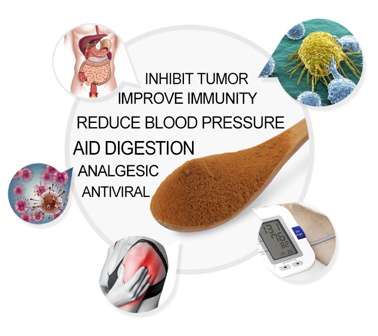 100% Natural Trifolium Pratense Extract Red Clover Powder