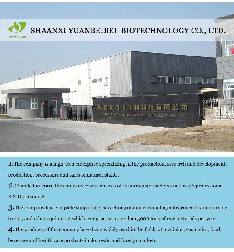 100% Natural Vine Tea Extract 50% Dihydromyricetin Powder