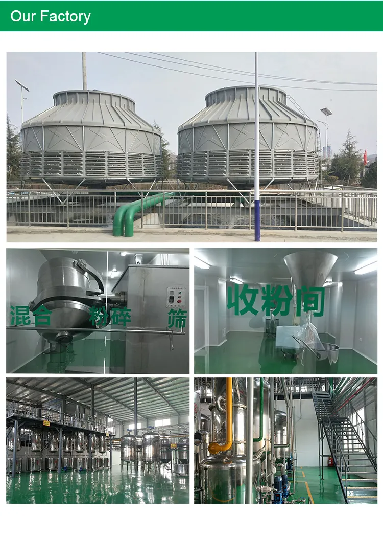 100% Nature Wild Yam Extract Powder Diosgenin Powder