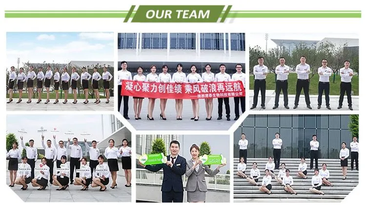 100% Pure Maca Root Extract Helpful Energy Libido Stamina Maca Powder