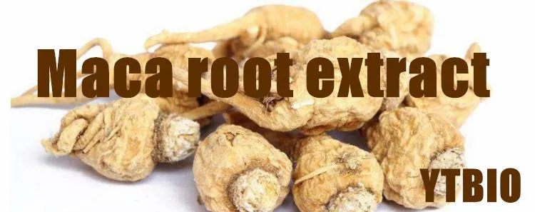 100% Pure Maca Root Extract Helpful Energy Libido Stamina Maca Powder