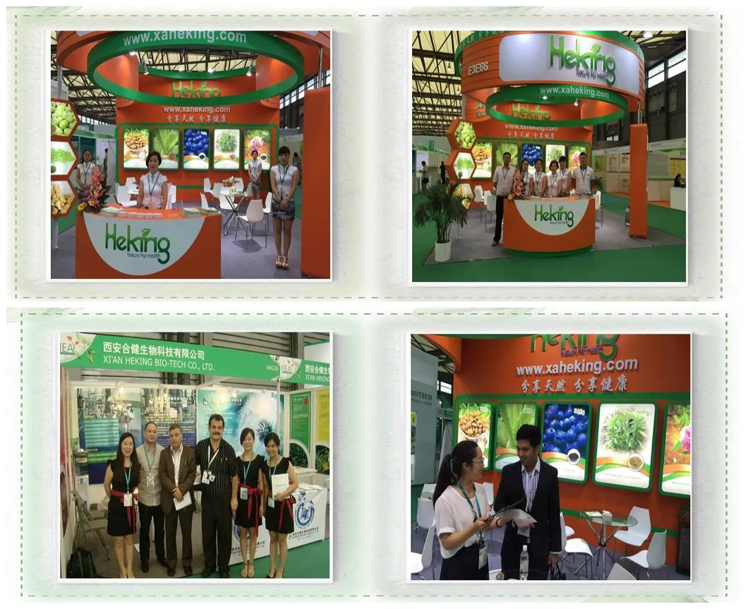 100% Pure Natural Grape Seed Extract 95%OPC Factory Direct Sale