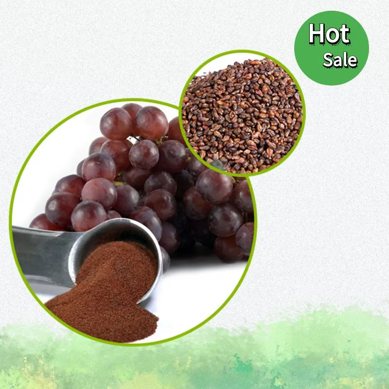 100% Pure Natural Grape Seed Extract 95%OPC Factory Direct Sale
