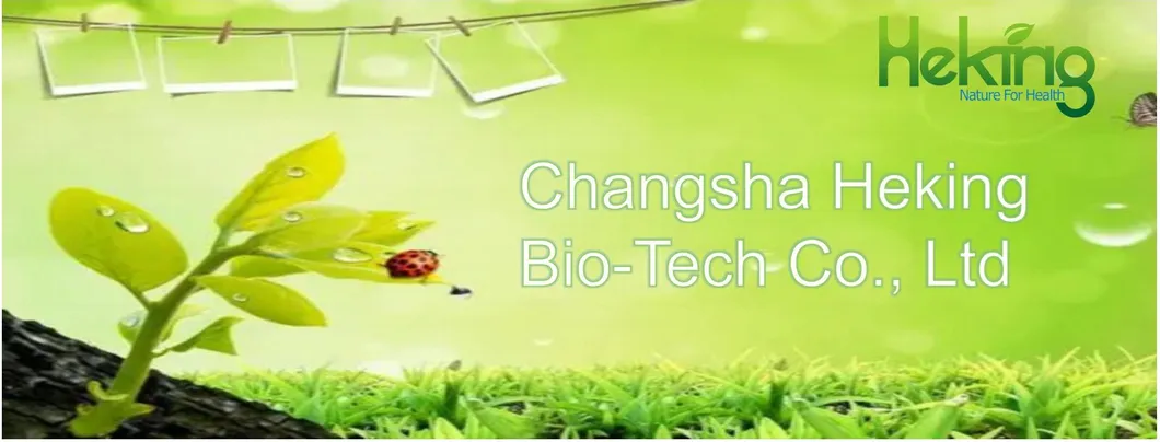 100% Pure Natural Grape Seed Extract 95%OPC Factory Direct Sale