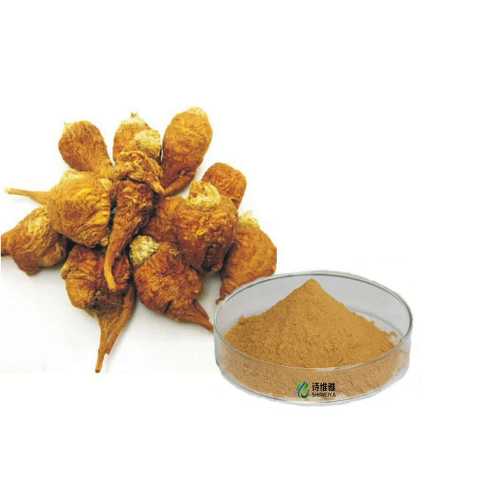 100% Pure Natural Maca Powder Extract 10: 1