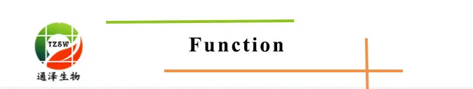 100% Pure Natural Marigold Extract 5%- 60% Zeaxanthin