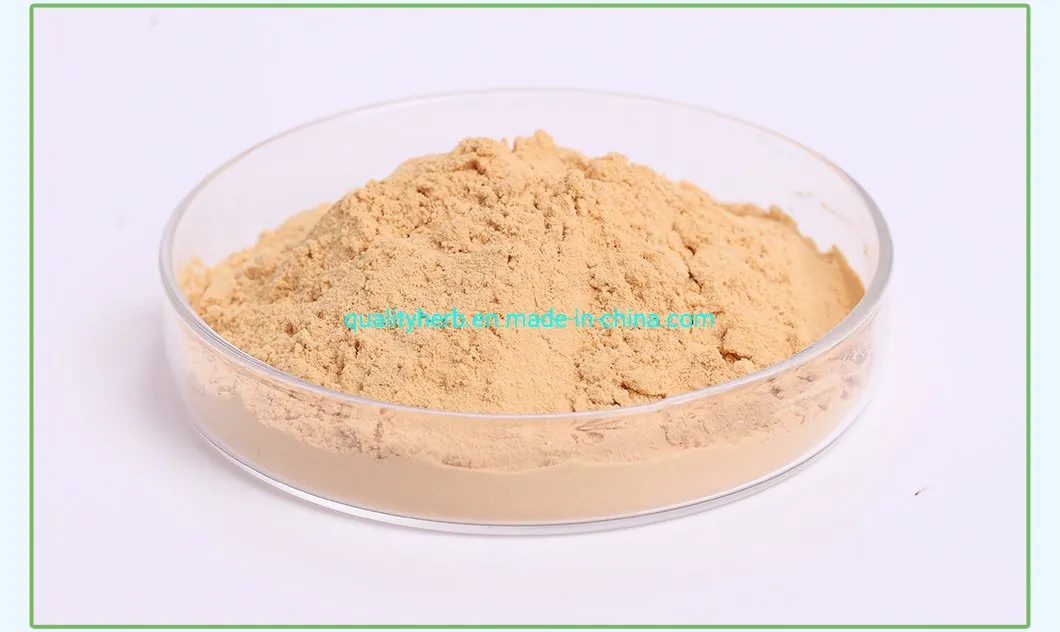 20% UV Goji Lycium Polysaccharide Lycium Barbarum Extract