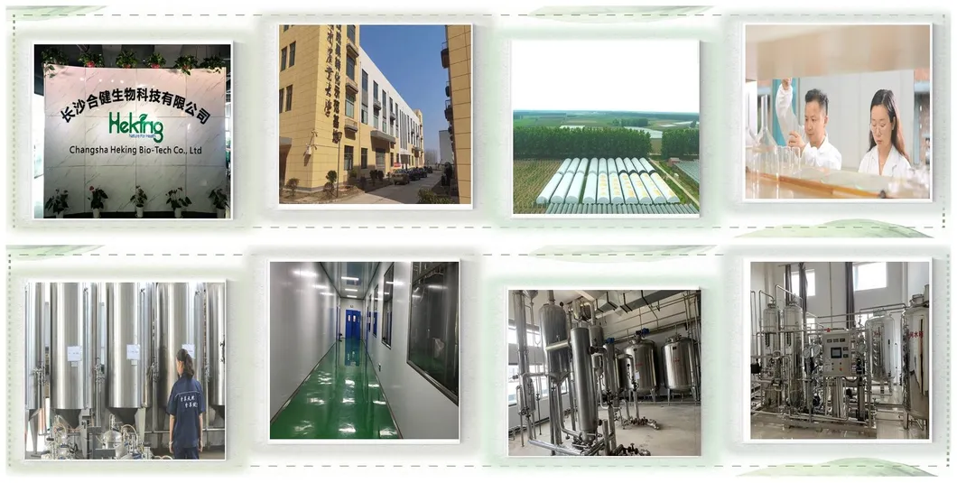 50%Phosphatidylserine Helianthus Annuus Extract Sunflower Seeds Extract