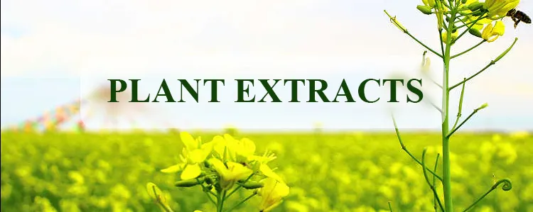 Agricultural Fertilizer Feed Use Probiotics Bacillus Pumilus Powder