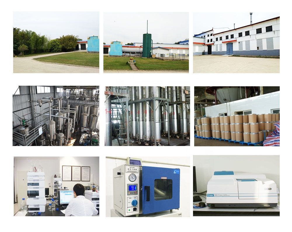 Alpha-Lipoic Acid Tablet