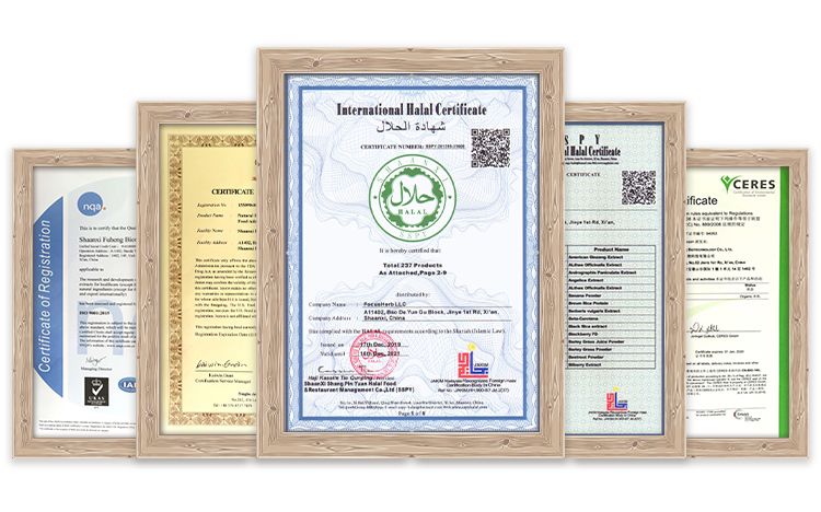 Alpha-Lipoic Acid Tablet