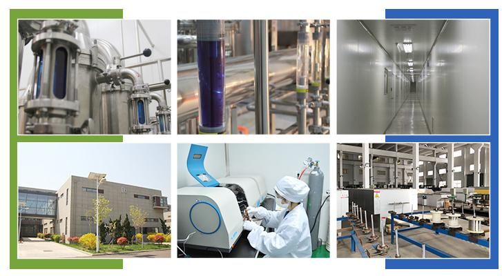 Alpha-Lipoic Acid Tablet