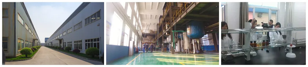 Animal Nutrition Feed Grade 46% Soybean Meal with High Protein