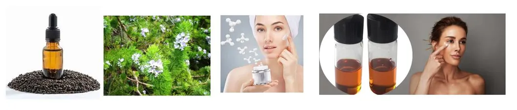 Anti-Aging Natural Cosmetic Ingredient Psoralen Extract Psoralea Corylifolia Linn. Bakuchiol China Factory