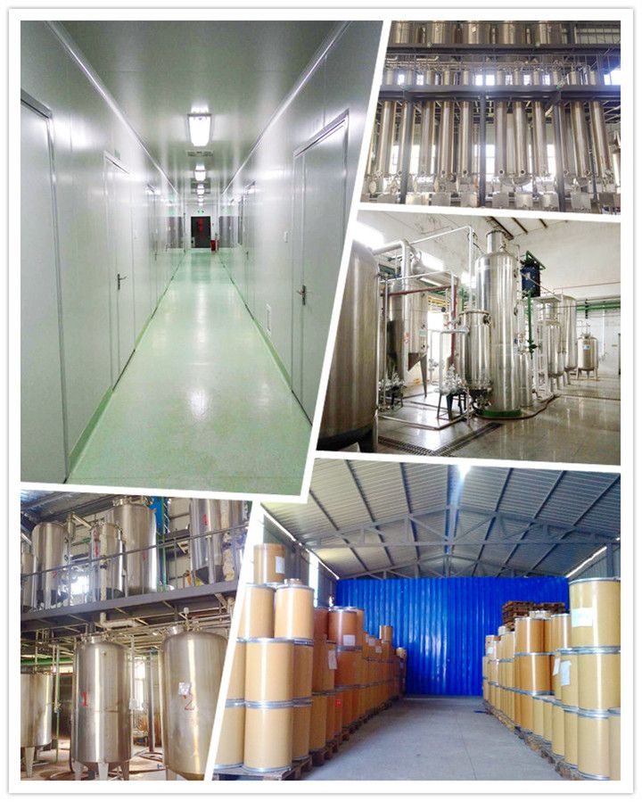Anti-Bacterial Health Products Anti-Virus Flavonoids Solidago Decurrens Lour Goldenrod Extract Golden Rod Extract