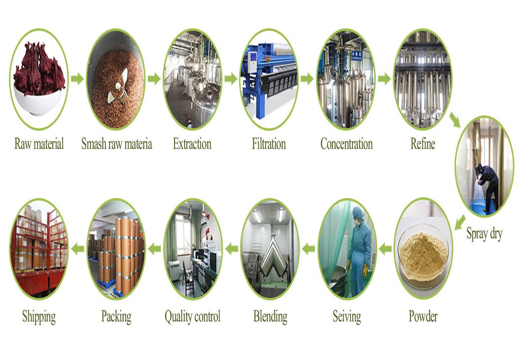 Anti-Bacterial Health Products Anti-Virus Flavonoids Solidago Decurrens Lour Goldenrod Extract Golden Rod Extract