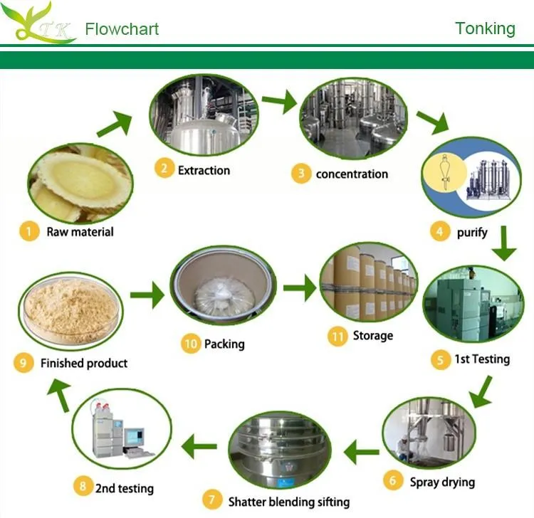 Apple Skin Extract Phlorizin Powder / Procyanidin B2