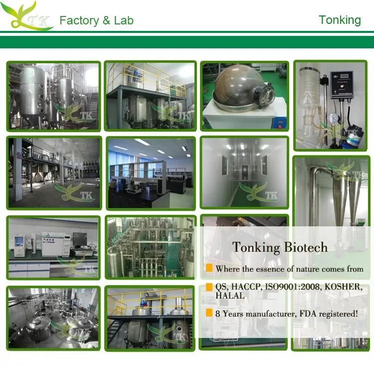 Apple Skin Extract Phlorizin Powder / Procyanidin B2