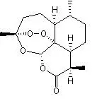 Artemisia Annua L. 99% Artemisinin CAS 63968 64 9