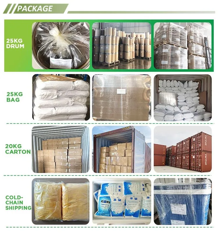 Astragalus Root Extract 98% Astragaloside IV