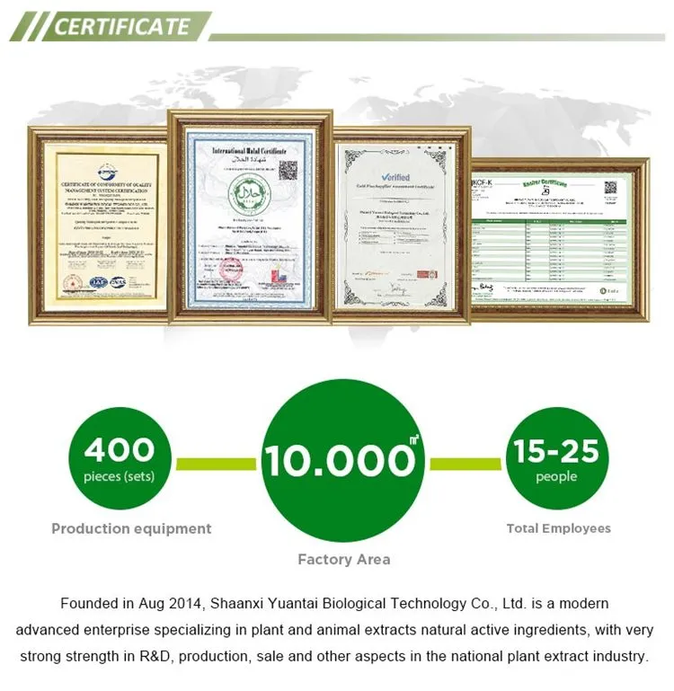 Astragalus Root Extract 98% Astragaloside IV