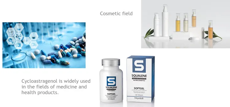 Astragalus Root Extract 98% Astragaloside IV