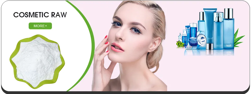 Best Price CAS 84380-01-8 Alpha Arbutin Powder