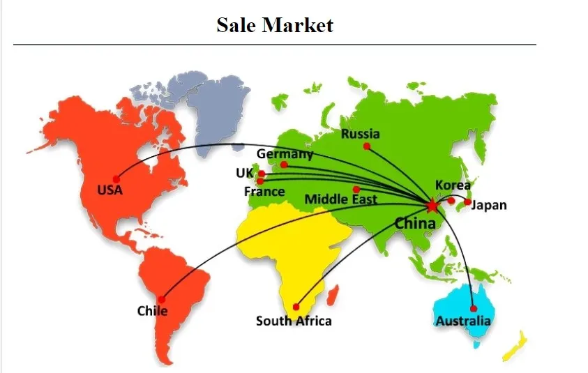Best Pure Lion′ S Mane Extract Lions Mane Mushroom Powder