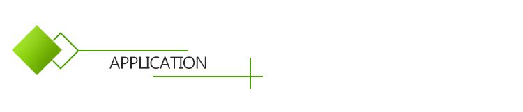 Best Selling Free Sample Apple Extract