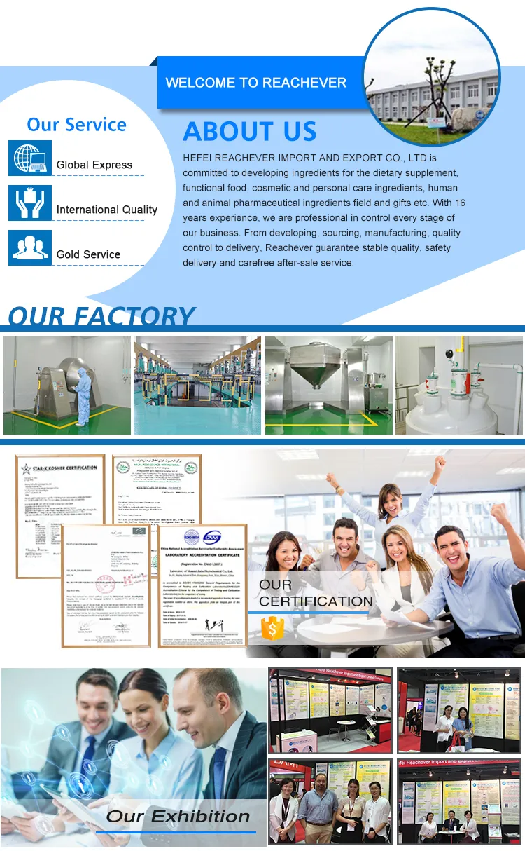 Beta Glucan Price Oat Extract Beta Glucan 70-80%