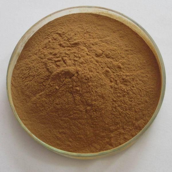 Betulin Acid Powder Capsules Tablets Bulk Price