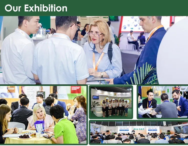 Biological Feed Additive CAS 12211-28-8 Proteinase Bacillus Subtilis Sutilain