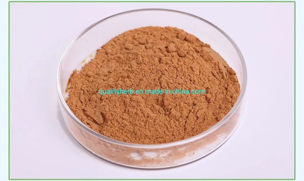 Bitter Almond Apricot Seed Extract 98% Amygdalin Vitamin B17 Powder CAS No. 29883-15-6 for Fighting Cancer
