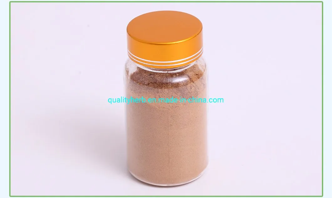 Bitter Almond Apricot Seed Extract 98% Amygdalin Vitamin B17 Powder CAS No. 29883-15-6 for Fighting Cancer