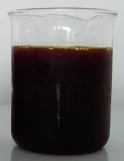 Botanical Extract Monk Fruit Extract for Treating Stomach Problems Used in Beverage Natural Sweetener