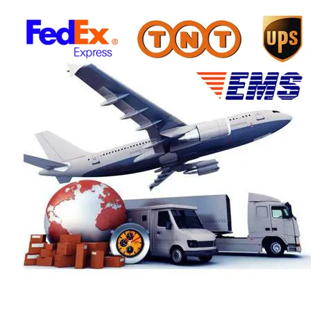 Bulk Supply 100% Natural Forskolin Powder 66428-89-5