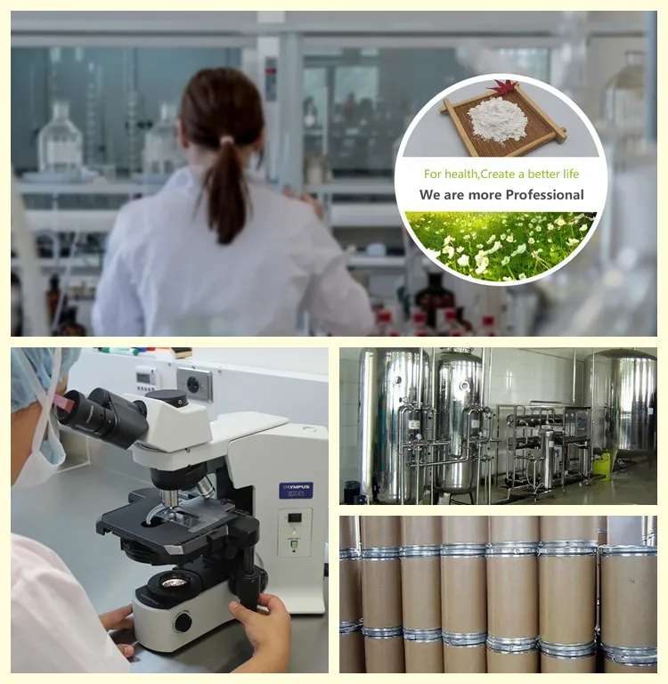 CAS 327-97-9 Green Coffee Bean Extract Chlorogenic Acid