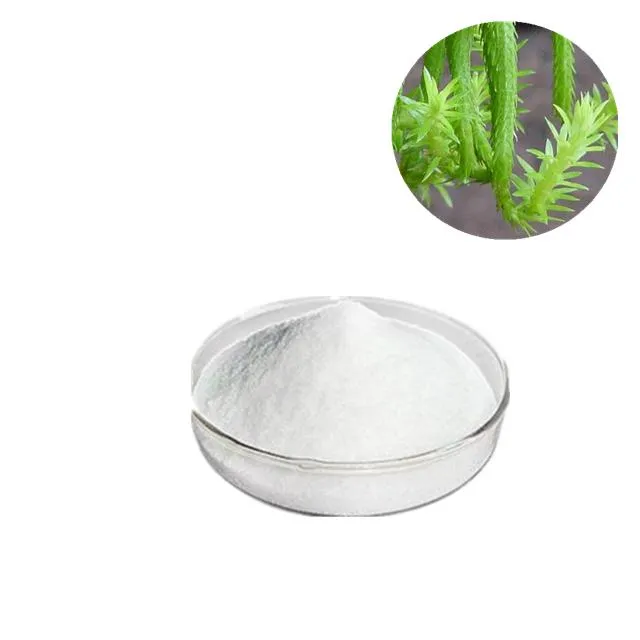 CAS No. 102518-79-6 Huperzia Serrata Extract/Huperzia Serrata Plant Extract Huperzine-a
