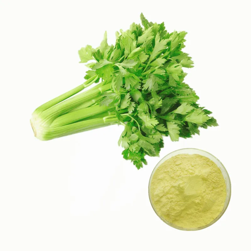 CAS No. 520-36-5 Natural Apigenin Treatment of HIV and Other Infections Apigenin Powder
