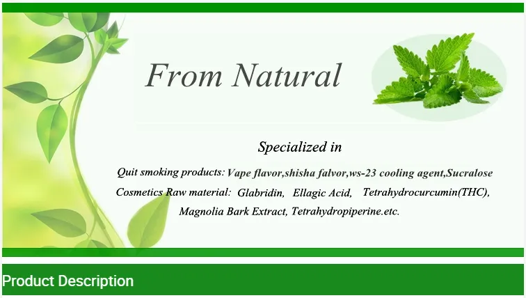 China Manufacturer Plant Extract Imperatorin 1% 98% 482-44-0 Ammidin Powder