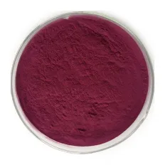 China Supply 1%~25% Anthocyandins Acai Berry Extract Powder