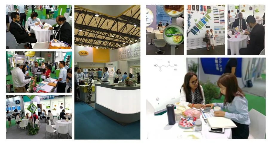 Chinese Best Quality Natural Anti-Fatigue Wolfberry Fruit Extract