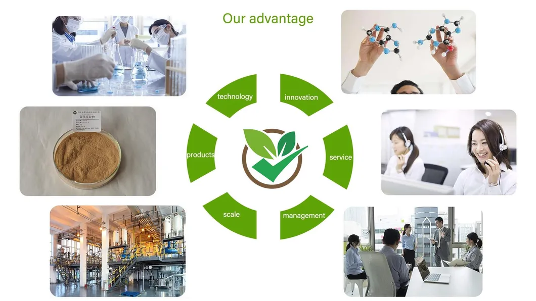 Chinese Best Quality Natural Anti-Fatigue Wolfberry Fruit Extract