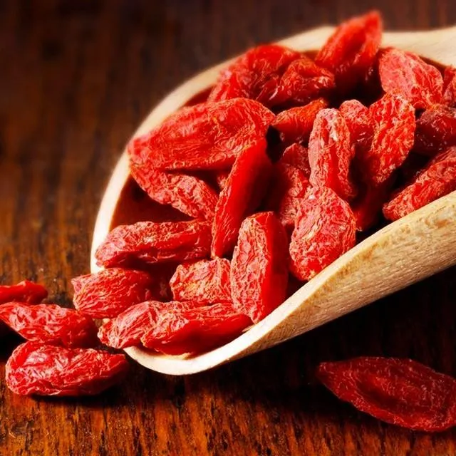 Chinese Best Quality Natural Anti-Fatigue Wolfberry Fruit Extract